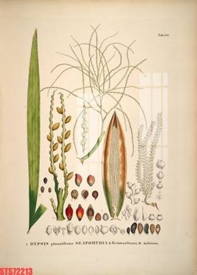 Tải file tranh Tranh sơn dầu phương tây tổng hợp STS72213 (ảnh gốc) ngay