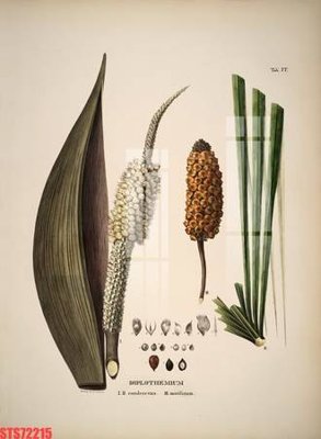 File gốc in ấn Tranh sơn dầu phương tây tổng hợp STS72215 (sẵn sàng tải về)