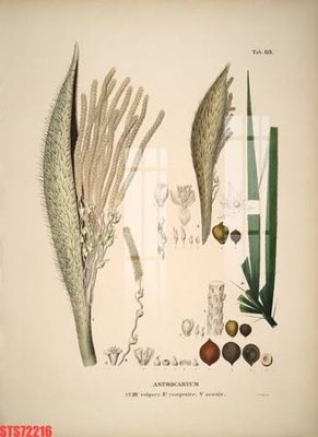 Tải file Tranh sơn dầu phương tây tổng hợp STS72216 (gốc) in ấn ngay lập tức