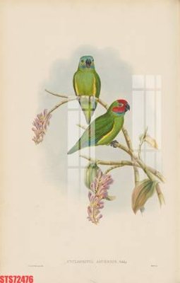 Ảnh gốc Tranh sơn dầu phương tây tổng hợp STS72476 (độ nét cao) in tráng gương