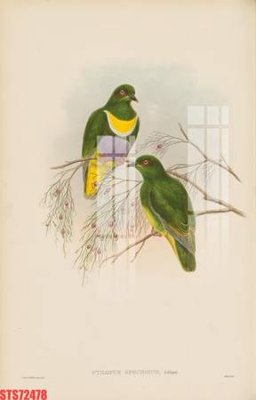 Tải file Tranh sơn dầu phương tây tổng hợp STS72478 (gốc) in ấn ngay lập tức