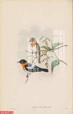 File gốc Tranh sơn dầu phương tây tổng hợp STS72481 (ảnh chi tiết) để in ấn