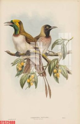 File in trần Tranh sơn dầu phương tây tổng hợp STS72488 (bản gốc) bầu trời