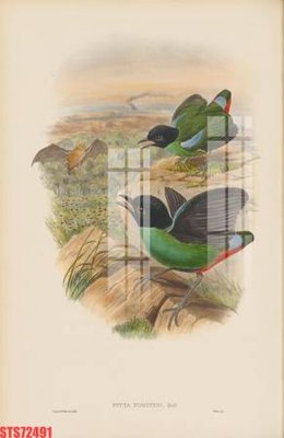 File gốc Tranh sơn dầu phương tây tổng hợp STS72491 (cho in UV) siêu nét