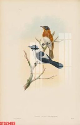 Mua file gốc Tranh sơn dầu phương tây tổng hợp STS72493 (PSD) tại Filetranh.com