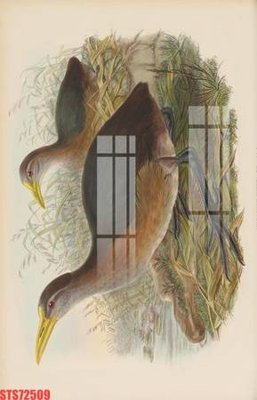 File tranh Tranh sơn dầu phương tây tổng hợp STS72509 (gốc) chủ đề động vật