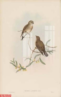 File gốc Tranh sơn dầu phương tây tổng hợp STS72512 (cho in ấn) từ kho Filetranh