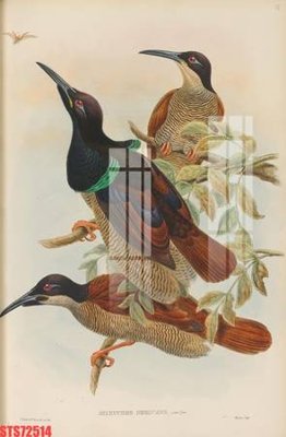 Tải file Tranh sơn dầu phương tây tổng hợp STS72514 (gốc) để in ấn ngay