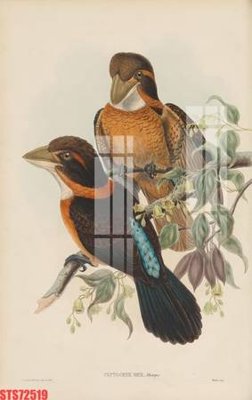 File gốc Tranh sơn dầu phương tây tổng hợp STS72519 (in mica) cắt laser