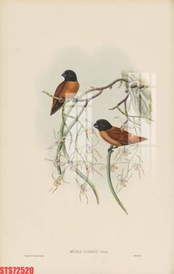 File tranh in trần Tranh sơn dầu phương tây tổng hợp STS72520 (ảnh gốc siêu nét)