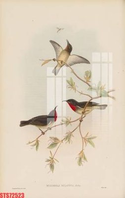 File tranh gốc Tranh sơn dầu phương tây tổng hợp STS72523 (bản quyền) độc đáo