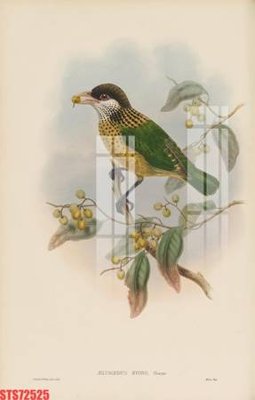 Mua file gốc Tranh sơn dầu phương tây tổng hợp STS72525 (chất lượng) tại Filetranh.com