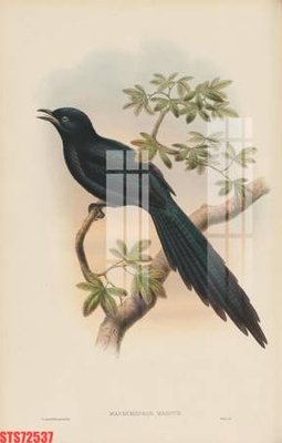 Mua file gốc Tranh sơn dầu phương tây tổng hợp STS72537 (PSD) tại Filetranh.com