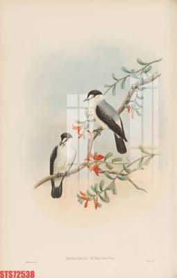 File gốc Tranh sơn dầu phương tây tổng hợp STS72538 (trang trí) phòng trẻ em