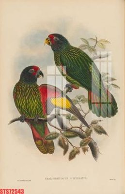 File gốc Tranh sơn dầu phương tây tổng hợp STS72543 (ảnh rõ nét) để in