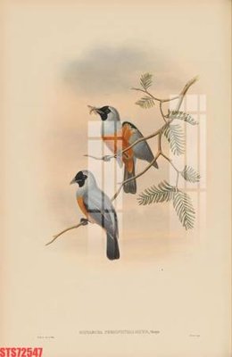 Cung cấp file tranh gốc Tranh sơn dầu phương tây tổng hợp STS72547 độc quyền