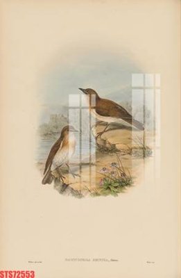 Tải file gốc in lụa Tranh sơn dầu phương tây tổng hợp STS72553 siêu nét