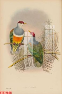 Tải file Tranh sơn dầu phương tây tổng hợp STS72565 (ảnh gốc) file AI/EPS