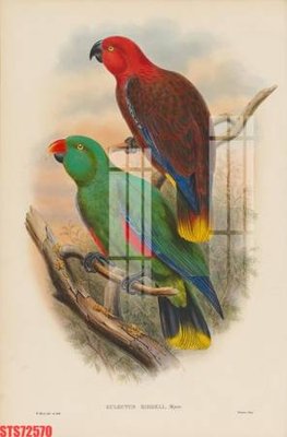 Tải file Tranh sơn dầu phương tây tổng hợp STS72570 (gốc) để in ấn ngay