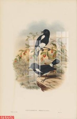 File gốc Tranh sơn dầu phương tây tổng hợp STS72576 (cho in ấn) từ Filetranh.com