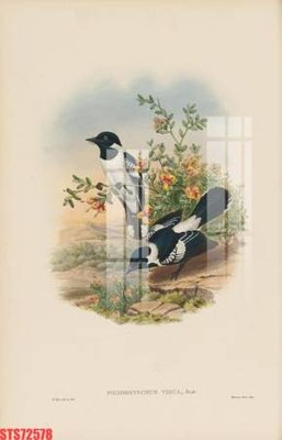 File gốc Tranh sơn dầu phương tây tổng hợp STS72578 (in lụa) tranh thuận buồm