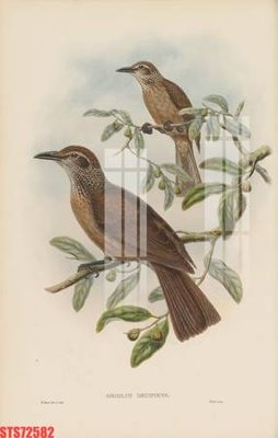 File PSD Tranh sơn dầu phương tây tổng hợp STS72582 (gốc) tách lớp chi tiết