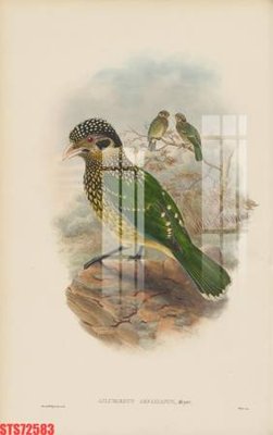 File PSD Tranh sơn dầu phương tây tổng hợp STS72583 (gốc) cho in quảng cáo