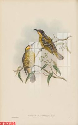 File gốc Tranh sơn dầu phương tây tổng hợp STS72584 (cho in ấn) từ kho Filetranh