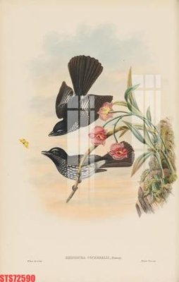 File PSD Tranh sơn dầu phương tây tổng hợp STS72590 (bản gốc) đã tách nền