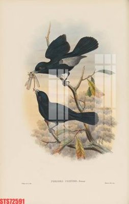 Download file gốc Tranh sơn dầu phương tây tổng hợp STS72591 (in mica) 3D