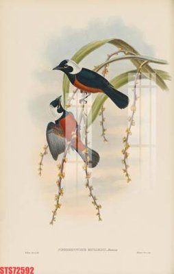 File ảnh gốc Tranh sơn dầu phương tây tổng hợp STS72592 không vỡ nét