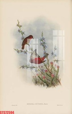 File tranh Tranh sơn dầu phương tây tổng hợp STS72594 (gốc) phong cách tối giản