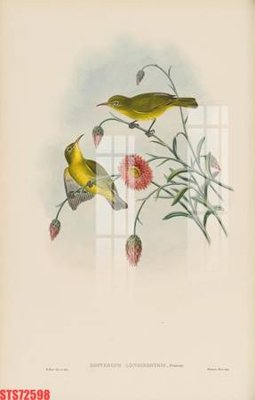 File tranh gốc Tranh sơn dầu phương tây tổng hợp STS72598 (bản quyền) độc đáo