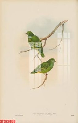 Ảnh gốc Tranh sơn dầu phương tây tổng hợp STS72606 (độ nét cao) in mica