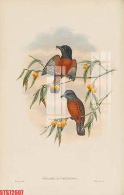 File in trần Tranh sơn dầu phương tây tổng hợp STS72607 (bản gốc) đại dương