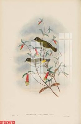 Tải file gốc Tranh sơn dầu phương tây tổng hợp STS72613 (in tráng gương) cao cấpFile gốc Tranh sơn dầu phương tây tổng hợp STS72613 (in ấn) phiên bản độc quyền