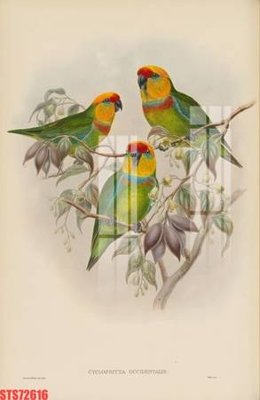 File gốc in ấn Tranh sơn dầu phương tây tổng hợp STS72616 chất lượng vượt trội