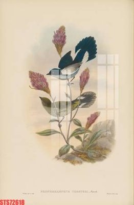 File gốc Tranh sơn dầu phương tây tổng hợp STS72618 (in 3D) nghệ thuật