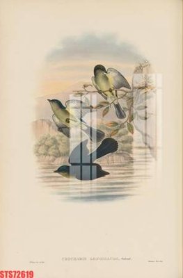 Tải file Tranh sơn dầu phương tây tổng hợp STS72619 (gốc) làm file thiết kế