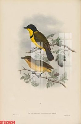 File gốc Tranh sơn dầu phương tây tổng hợp STS72624 (ảnh chi tiết) để in ấn