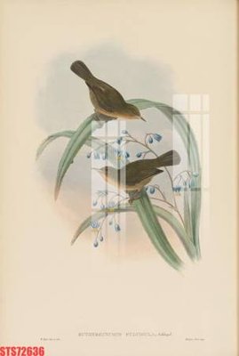 Tải file Tranh sơn dầu phương tây tổng hợp STS72636 (gốc) chủ đề tâm linh