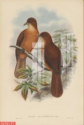 Download file gốc Tranh sơn dầu phương tây tổng hợp STS72638 (in mica) trang trí