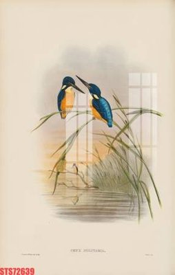 File gốc Tranh sơn dầu phương tây tổng hợp STS72639 (in tráng gương) sang trọng