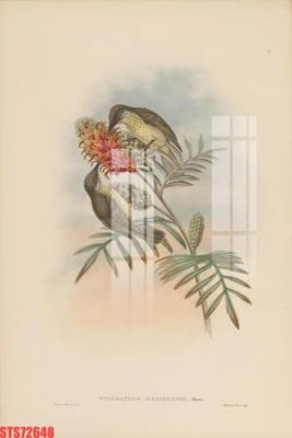 Tải file gốc Tranh sơn dầu phương tây tổng hợp STS72648 (bản PSD) chỉnh sửa được