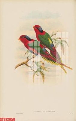 File ảnh gốc Tranh sơn dầu phương tây tổng hợp STS72650 (chuyên in mica)