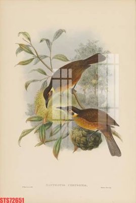 File PSD Tranh sơn dầu phương tây tổng hợp STS72651 (gốc) tách lớp chi tiết