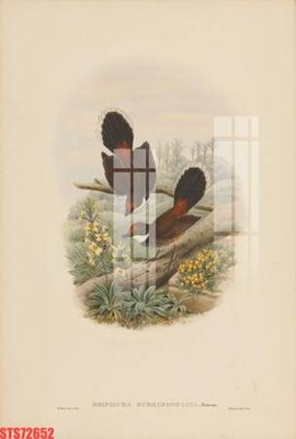 File PSD Tranh sơn dầu phương tây tổng hợp STS72652 (bản gốc) chất lượng nhất