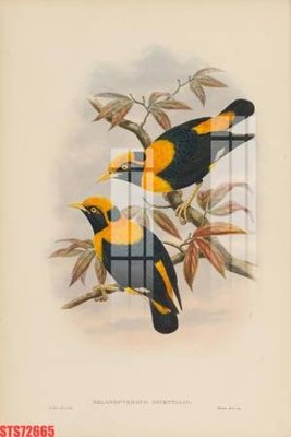 File tranh gốc Tranh sơn dầu phương tây tổng hợp STS72665 chủ đề hiện đại