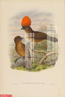 Tải file gốc Tranh sơn dầu phương tây tổng hợp STS72666 (in tráng gương) siêu đẹpFile tranh gốc Tranh sơn dầu phương tây tổng hợp STS72666 chất lượng cao