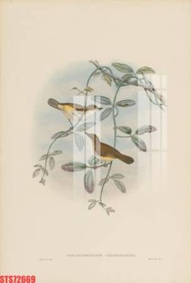 File in ấn chuyên nghiệp Tranh sơn dầu phương tây tổng hợp STS72669 (file gốc)